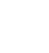 elegance-limo